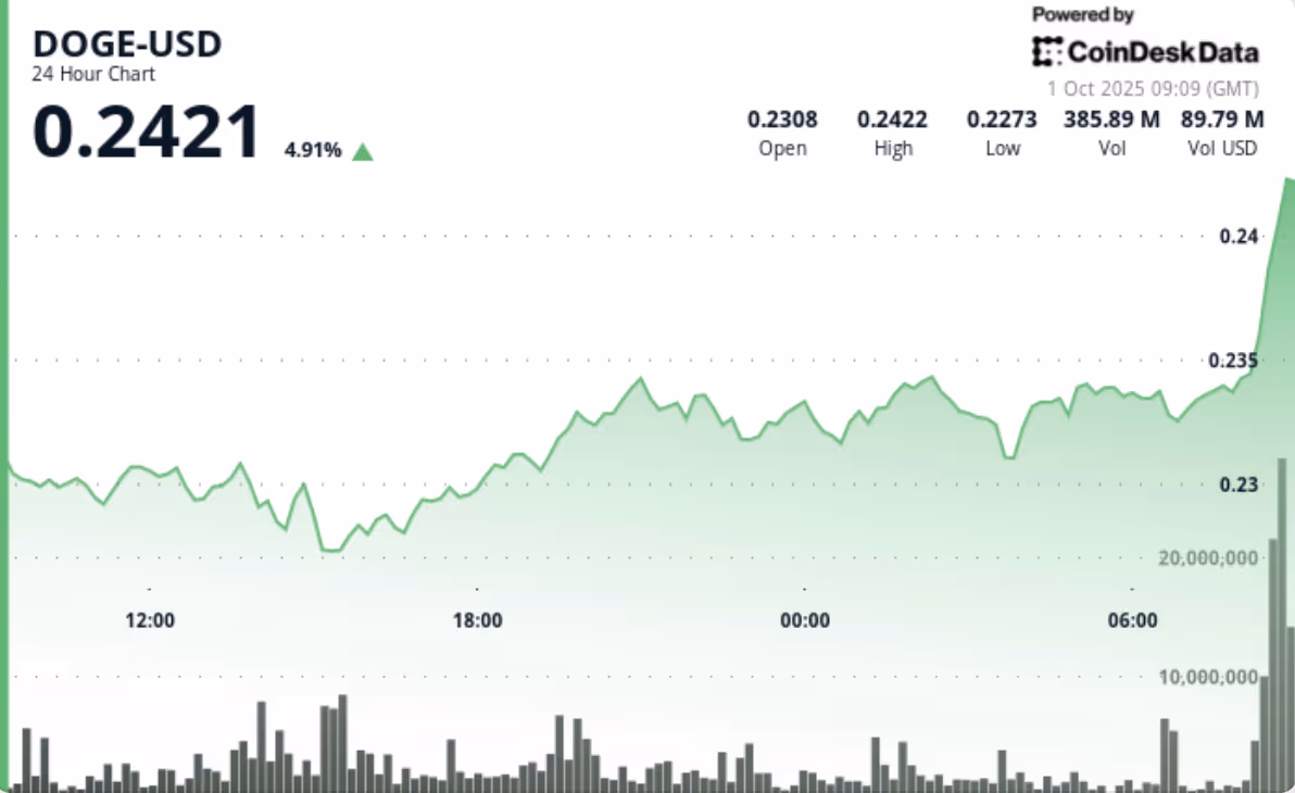 نمودار قیمت دوج کوین