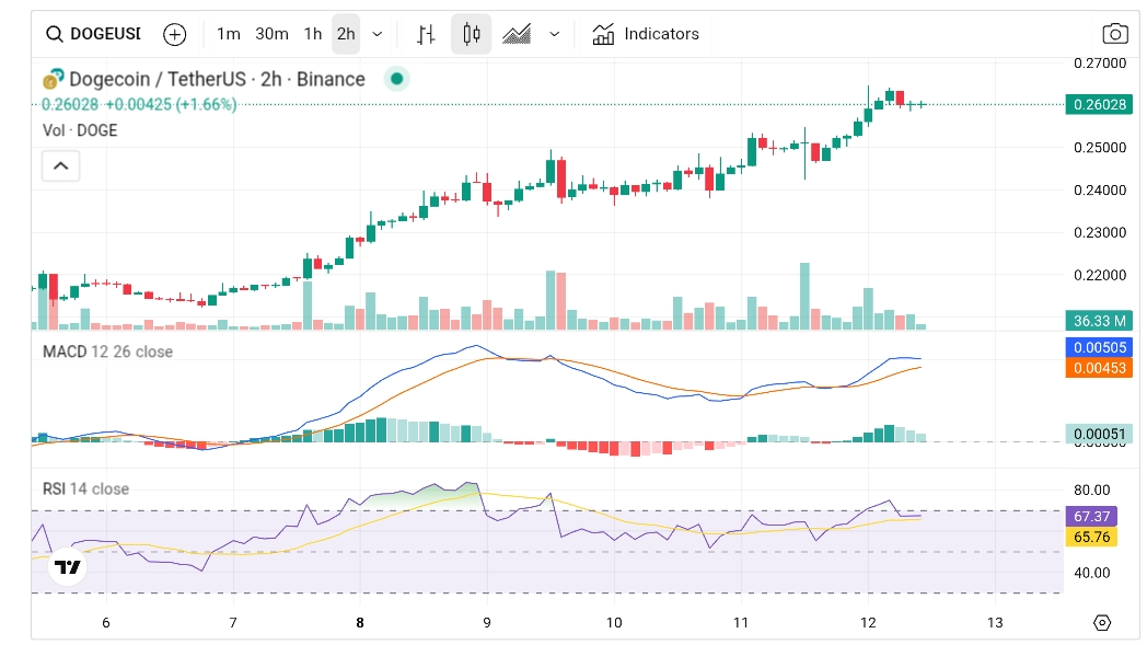 نمودار قیمت دوج کوین