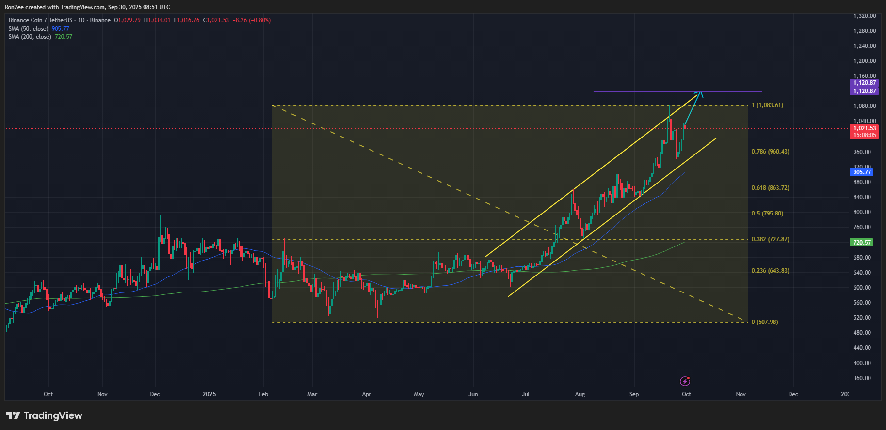 نمودار روزانه قیمت بایننس کوین