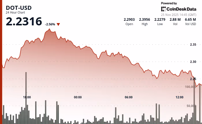 نمودار قیمت پولکادات
