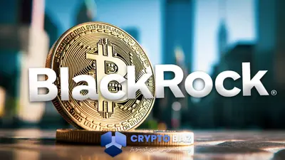 بلک‌راک با خرید تازه به رکورد ۷۰۰ هزار بیت‌کوین صدرنشین ETFها شد