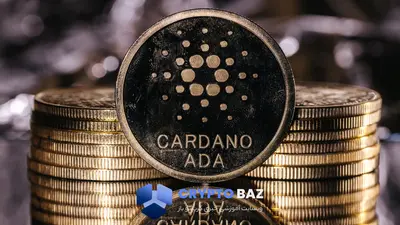 افزایش تقاضا در کاردانو؛ تثبیت بالای ۰.۸۲ مسیر صعود را هموار کرد