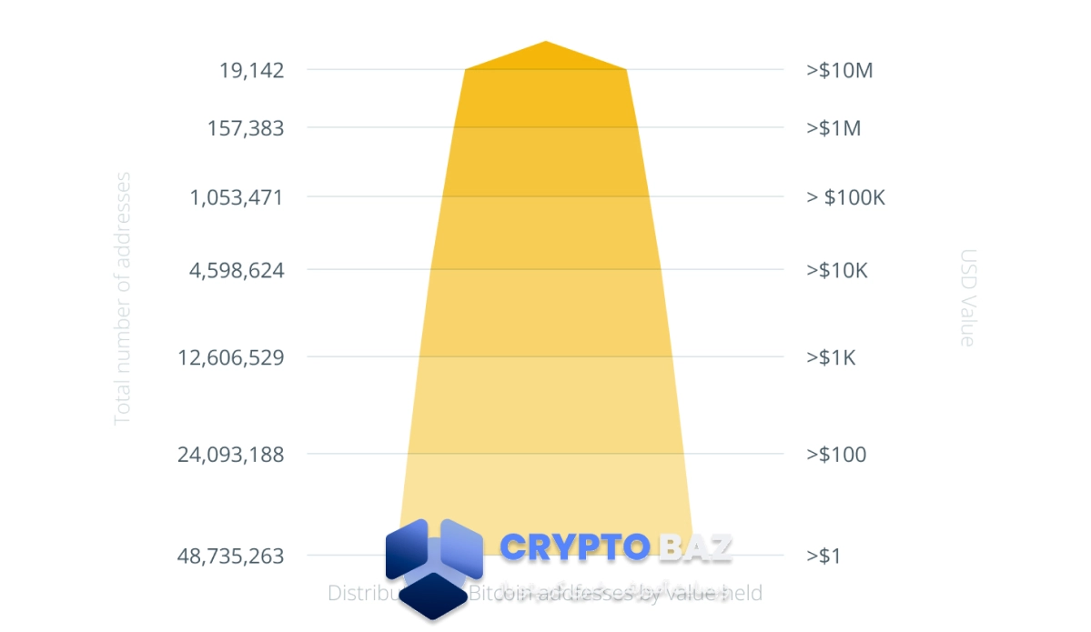 نمودار بیشترین بیت کوین