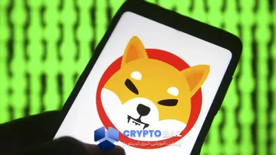 جهش ۷۰۰۰ درصدی توکن‌سوزی شیبا اینو همزمان با افزایش آدرس‌ها