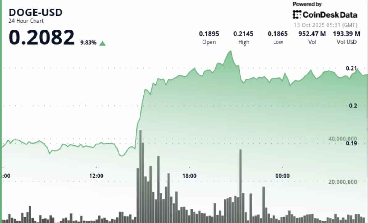 نمودار قیمت دوج کوین