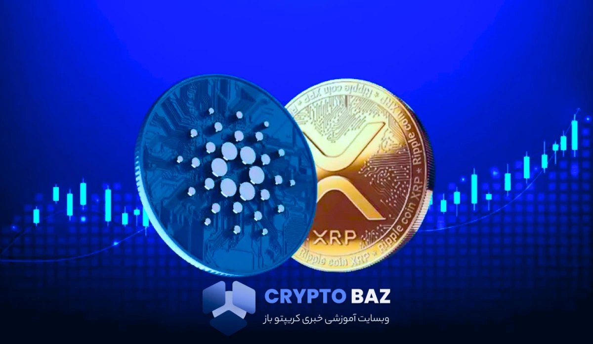 ریپل تا پایان ۲۰۲۵ به کیف پول Lace کاردانو اضافه میشود